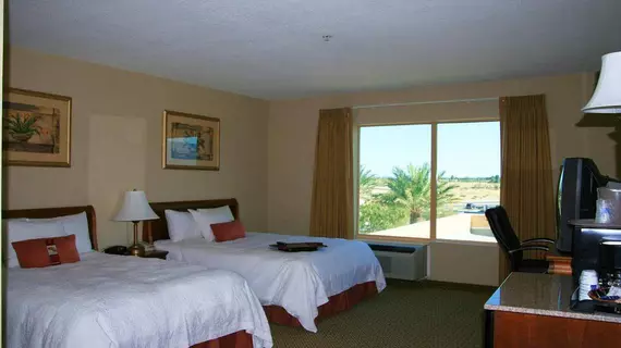 Hampton Inn & Suites Palm Desert | Kaliforniya - Imperial County - Palm Springs (ve civarı) - Palm Desert