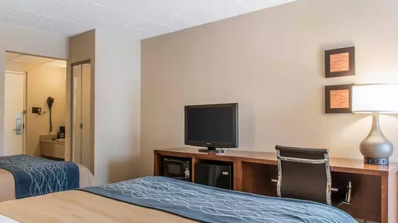 Comfort Inn Clarks Summit | Pensilvanya - Scranton (ve civarı) - Clarks Summit