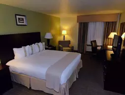 Holiday Inn Fort Myers - Downtown Area | Florida - Fort Myers (ve civarı) - Fort Myers