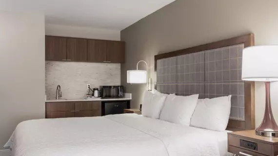 Hampton Inn & Suites Dallas DFW Airport North Grapevine | Teksas - Dallas (ve civarı) - Grapevine