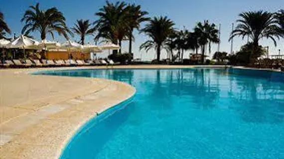 Club Paradisio | Kızıldeniz İli - Hurgada (ve civarı) - El Gouna