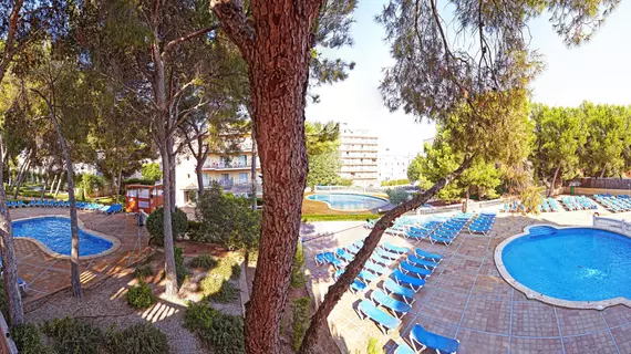 Club Palma Bay Resort | Balearic Adaları - Mayorka Adası - Palma de Mallorca - El Arenal