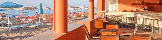 Dedalos Beach Hotel | Girit Adası - Rethimnon (bölge) - Rethimnon