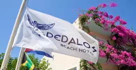 Dedalos Beach Hotel | Girit Adası - Rethimnon (bölge) - Rethimnon