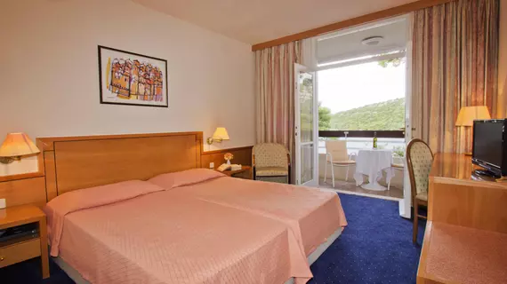 Hotel Splendid | Dubrovnik-Neretva - Dubrovnik (ve civarı) - Dubrovnik - Lapad