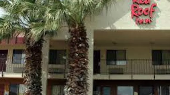 Red Roof Inn San Antonio - Lackland | Teksas - San Antonio (ve civarı) - San Antonio