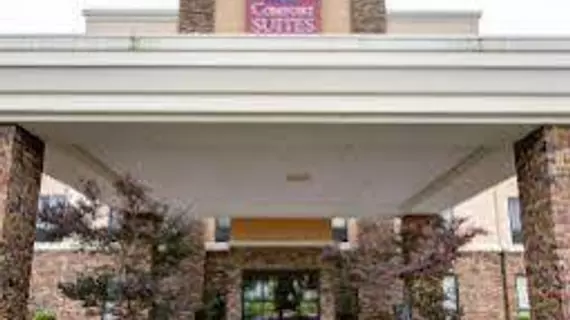 Comfort Suites | Arkansas - Little Rock (ve civarı) - Little Rock