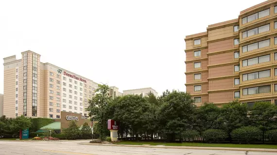 Embassy Suites Chicago - O'Hare Rosemont | İllinois - Rosemont