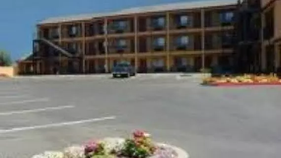 Quality Inn Salinas | Kaliforniya - Monterey (ve civarı) - Salinas