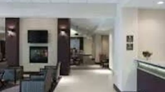 Homewood Suites by Hilton St. Louis - Galleria | Missouri - St. Louis (ve civarı) - Richmond Heights