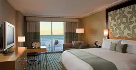 Loews Miami Beach Hotel | Florida - Miami Beach - Güney Plajı