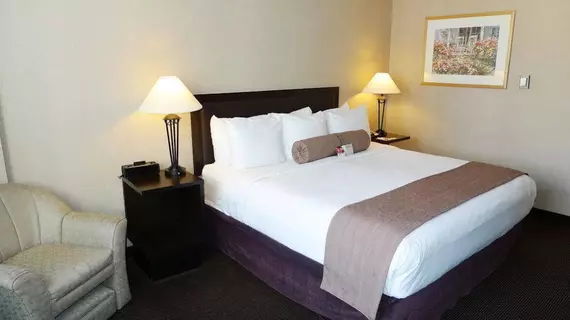 Ramada Hotel Downtown Calgary | Alberta - Calgary (ve civarı) - Calgary - Calgary Şehir Merkezi