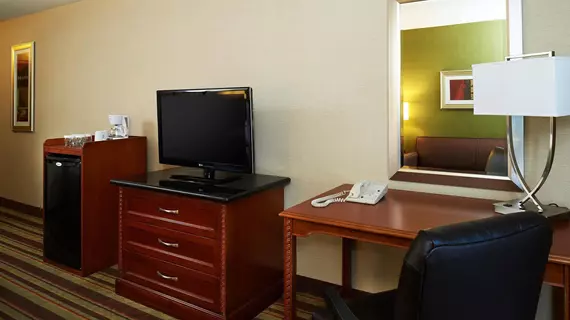 Holiday Inn Hotel & Conference Center Buena Park | Kaliforniya - Orange County - Buena Park