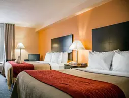 Comfort Inn International | Florida - Orlando (ve civarı) - International Drive