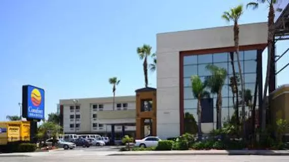 Quality Inn and Suites LAX Airport | Kaliforniya - Los Angeles County - Los Angeles - LAX Bölgesi