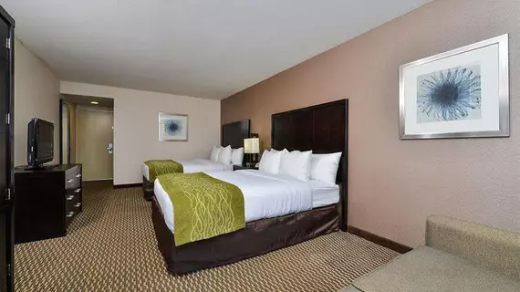 Comfort Inn & Suites Zoo SeaWorld Area | Kaliforniya - San Diego County - San Diego - Mission Valley