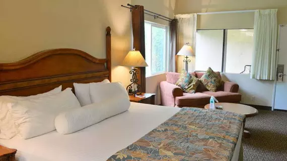 Casa Ojai Inn | Kaliforniya - Santa Barbara (ve civarı) - Ojai