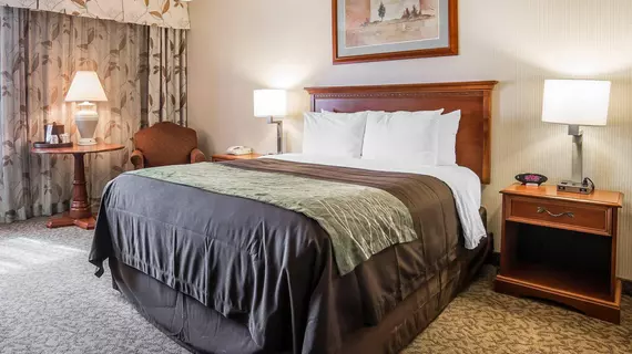 Comfort Inn at Buffalo Bill Village Resort | Wyoming - Cody (ve civarı) - Cody