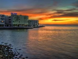 Sailport Waterfront Suites | Florida - Tampa (ve civarı) - Tampa