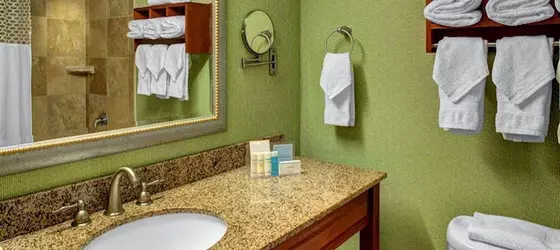 Hampton Inn Miami-Coconut Grove/Coral Gables | Florida - Miami (ve civarı) - Miami - Coconut Grove