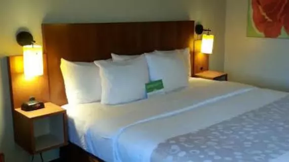 La Quinta Inn & Suites Houston Southwest | Teksas - Houston (ve civarı) - Houston