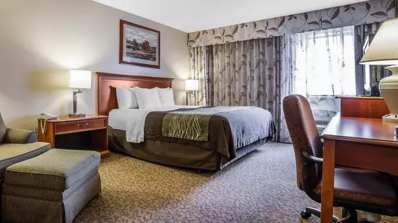 Comfort Inn at Buffalo Bill Village Resort | Wyoming - Cody (ve civarı) - Cody