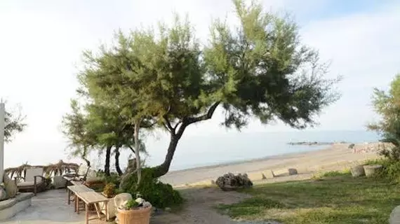 Capo Nettuno Hotel | Sicilya - Messina (vilayet) - Capo d'Orlando