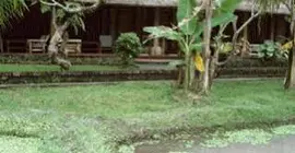 Jati Homestay | Bali - Ubud - Ubud Kent Merkezi