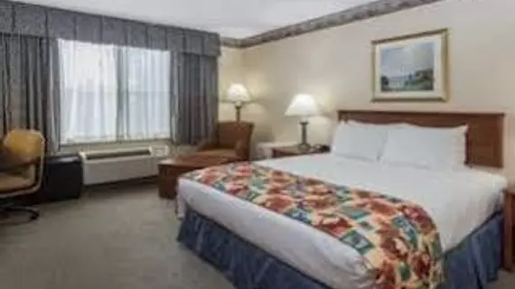 Baymont Inn and Suites Waterford/Burlington | Wisconsin - Milwaukee (ve civarı) - Waterford