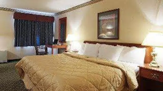 Comfort Inn Meadowvale | Ontario - Toronto (ve civarı) - Mississauga