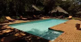 Entabeni Safari Conservancy | Limpopo - Waterberg District - Mookgopong