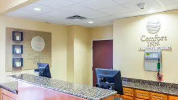 Comfort Inn New Orleans Airport | Louisiana - New Orleans (ve civarı) - Kenner - Kenner - Louis Armstrong Uluslararası Havalimanı