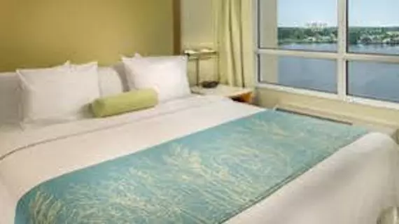 SpringHill Suites Miami Airport South | Florida - Miami (ve civarı) - Miami