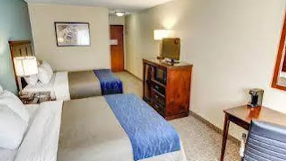 Comfort Inn Lake Charles | Louisiana - Lake Charles (ve civarı) - Lake Charles