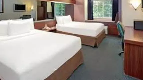 Microtel Inn & Suites by Wyndham Atlanta Airport | Georgia - Atlanta (ve civarı) - College Park