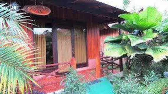 Arenal Montechiari Hotel | Alajuela (ili) - San Carlos (kantonu) - La Fortuna