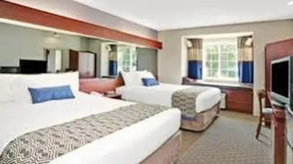 Microtel Inn & Suites by Wyndham Detroit Roseville | Michigan - Detroit (ve civarı) - Roseville