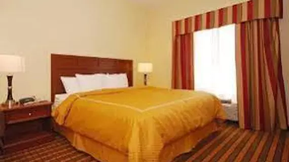 Comfort Suites Montgomery | Alabama - Montgomery (ve civarı) - Montgomery