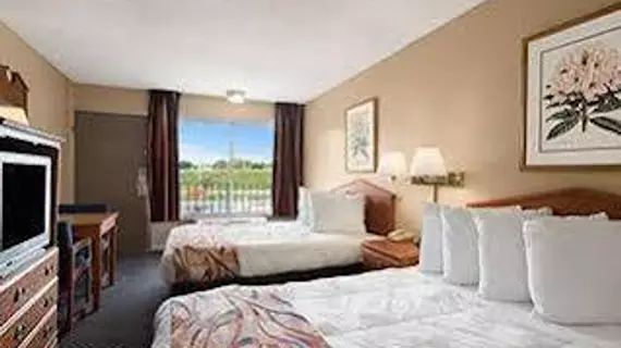 Days Inn Tampa North of Busch Gardens | Florida - Tampa (ve civarı) - Tampa