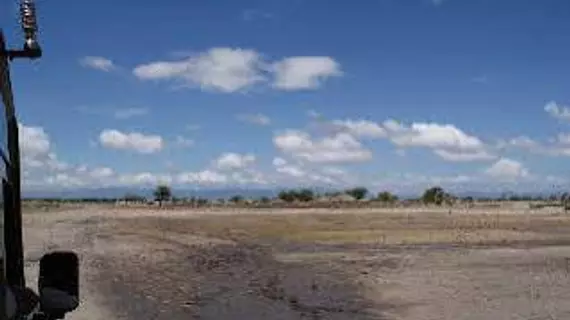 Whistling Thorn Camp | Manyara Bölgesi - Tarangire Ulusal Parkı