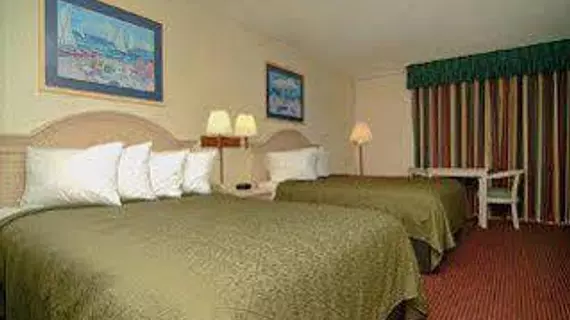 Quality Inn & Suites Myrtle Beach | Güney Karolayna - Myrtle Plajı (ve civarı) - Myrtle Beach