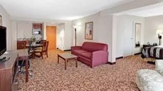 Wingate by Wyndham Atlanta Galleria | Georgia - Atlanta (ve civarı) - Atlanta - Cumberland