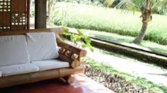 Jati Homestay | Bali - Ubud - Ubud Kent Merkezi