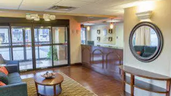 Comfort Inn Hammond | Louisiana - Hammond (ve civarı) - Hammond