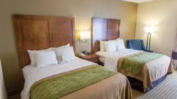 Comfort Inn Hammond | Louisiana - Hammond (ve civarı) - Hammond