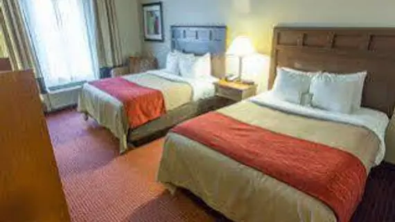 Comfort Inn New Orleans Airport | Louisiana - New Orleans (ve civarı) - Kenner - Kenner - Louis Armstrong Uluslararası Havalimanı