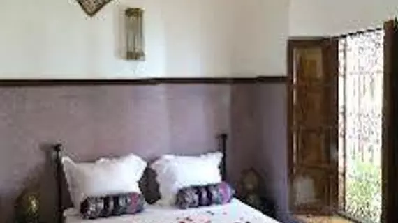 Riad Dar Palmyra | Marakeş (ve civarı) - Marrakech - Mechouar Kasbah - Mechouar-Kasbah