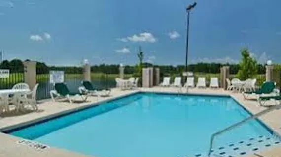 Wingate by Wyndham Savannah Airport | Georgia - Savannah (ve civarı) - Savana