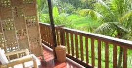 Jati Homestay | Bali - Ubud - Ubud Kent Merkezi