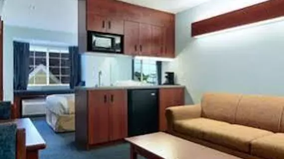 Microtel Inn & Suites by Wyndham Gardendale | Alabama - Birmingham (ve civarı) - Gardendale